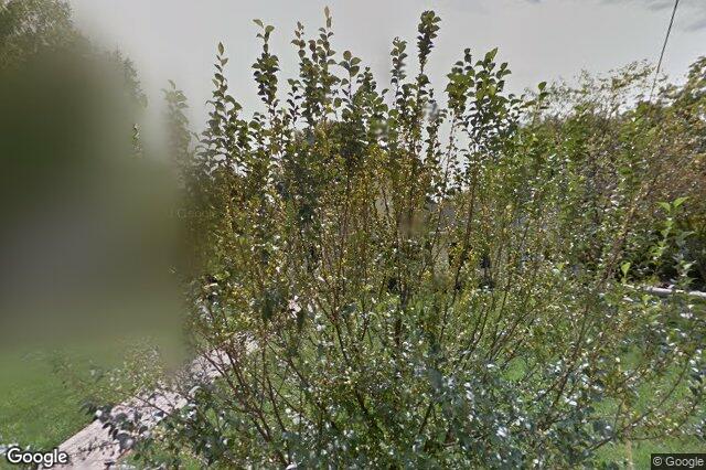 1800 Buena Vista RD